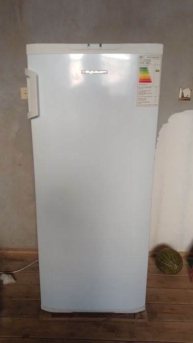 Xolodelnik. Muzlatgich