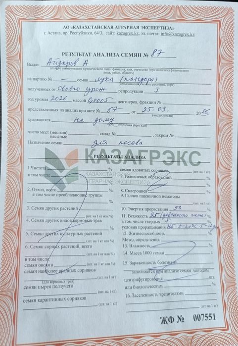 Семена лука Пандора и Манас первосьем