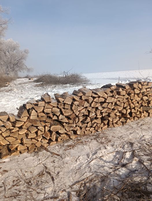 Дрова для дама бани