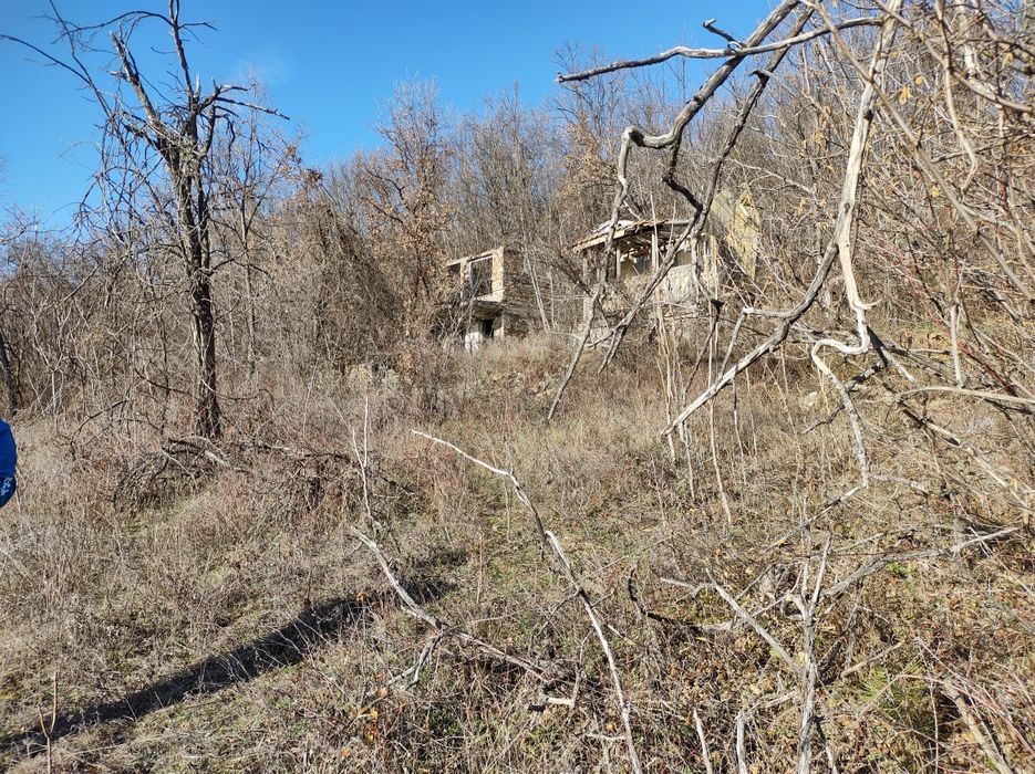 Земеделски имот Шереметя