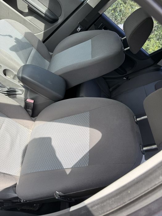 Vand Gaini, Gaste , Bibilici de anul trecut…