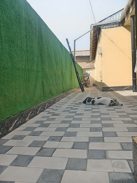 Oq qovoqda hovli sotiladi yangi qurilgan kanalizatsiya. WiFi.