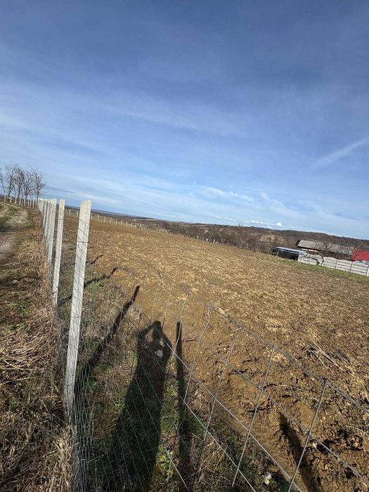 Vând teren intravilan în localitatea Copăcel, Bihor. 3082 mp