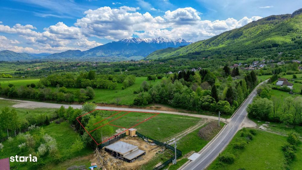 Teren intravilan 500 Bran-Tohanita la 50 m de dum asfaltat