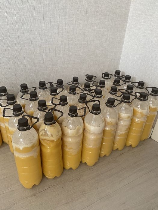 Мёд с Восточного Казахстана