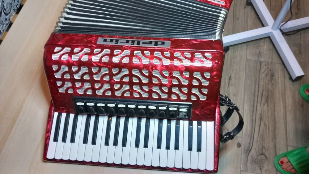 Acordeon DELICIA carmen 24 cu 96 basi