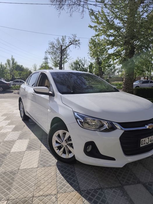 Онекс. Ок. Без. Лук. Йил. 2024