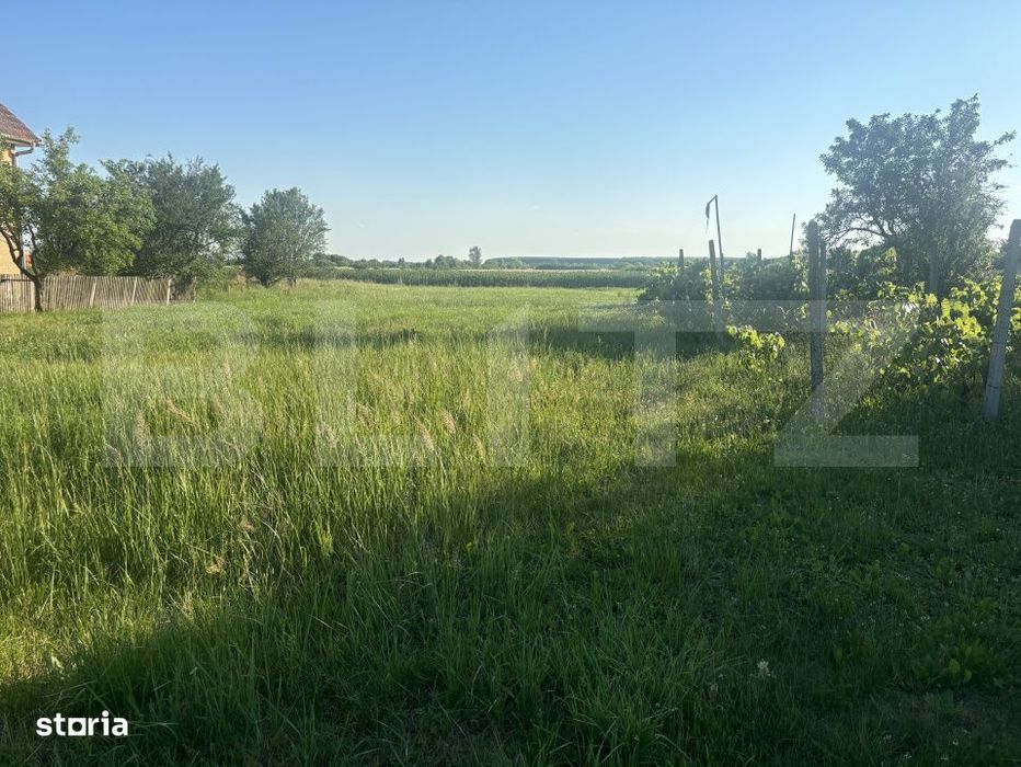 Teren intravilan de vanzare – 13,3 ari, front stradal 23 ml, zona Ci