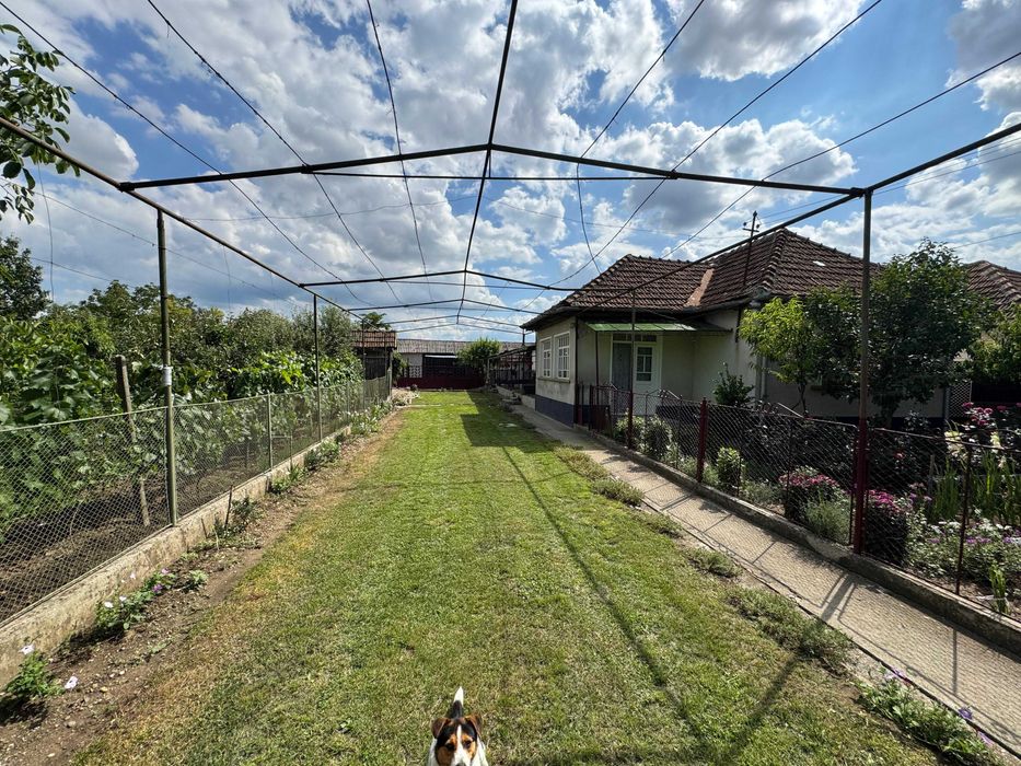 Casă cu teren 4000 m2 în Bihor, Abrămuț