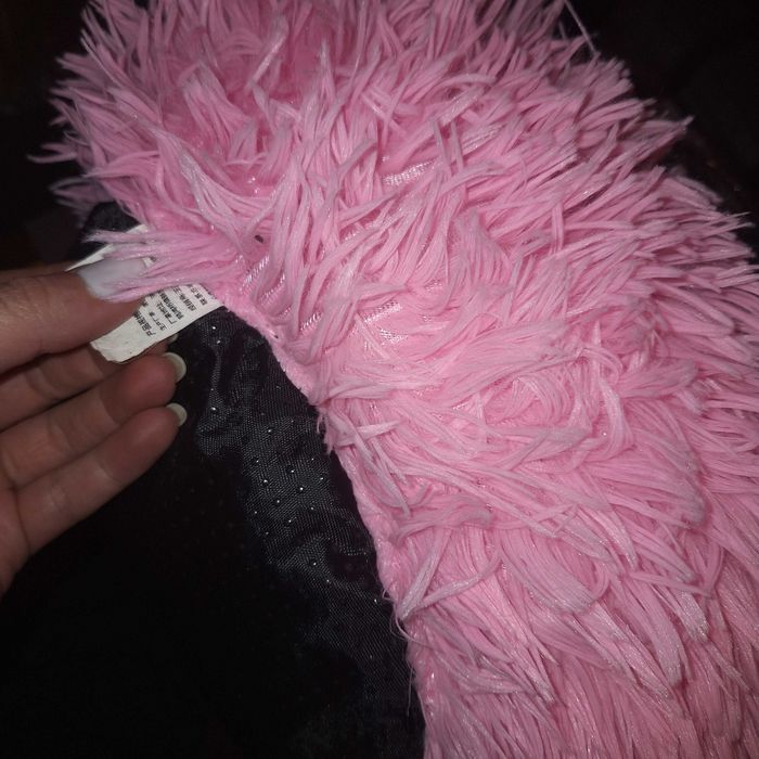 Легло за коте или мини порода куче