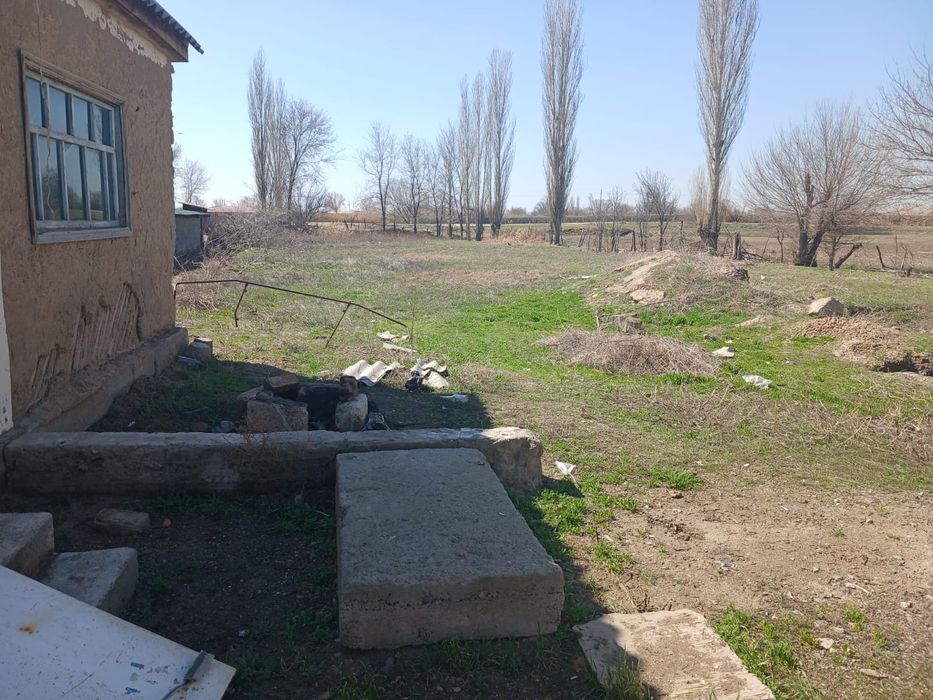 Продам дом Толе би