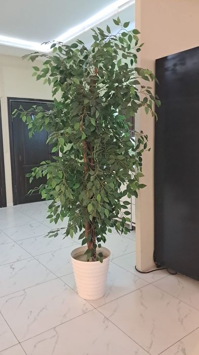 Продам всё для кафе