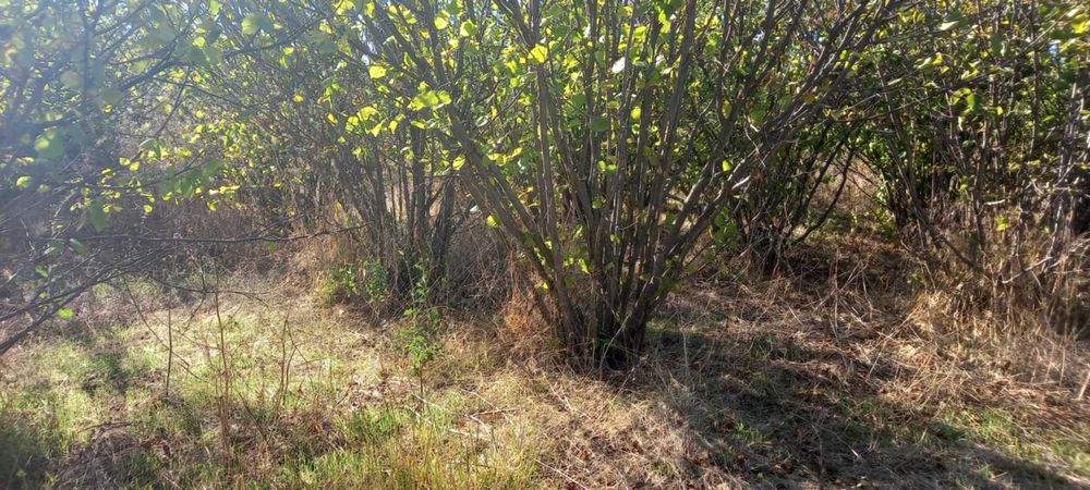 ПАРЦЕЛ/УПИ в с. Книжовник, обл. Хасково