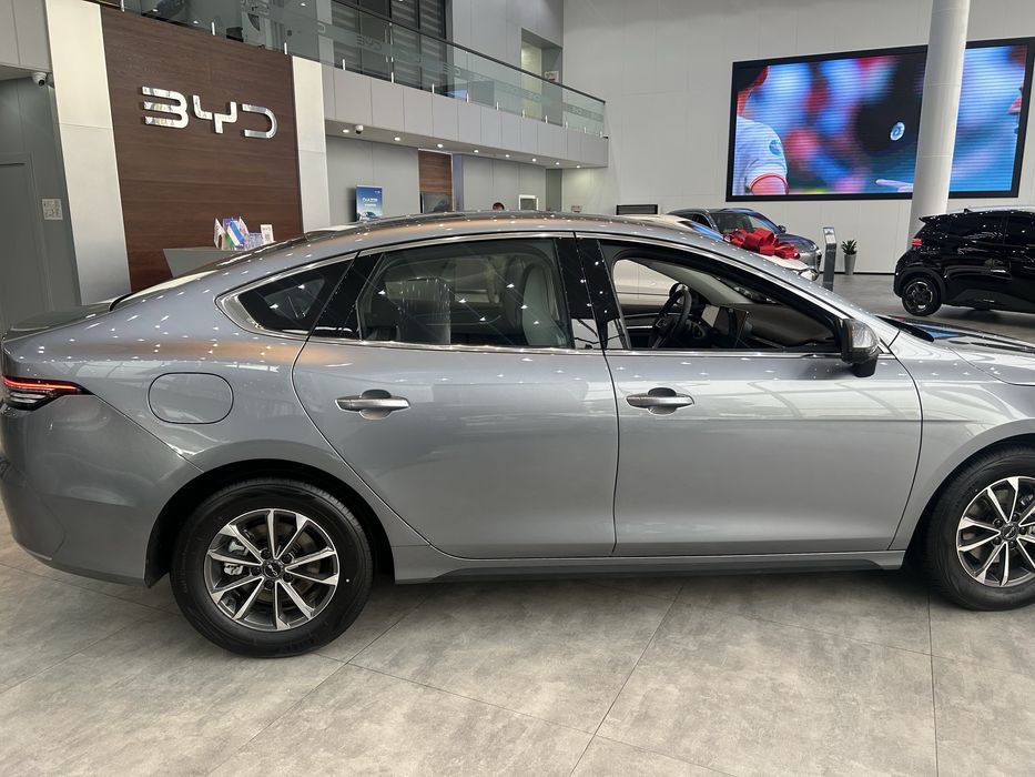 Byd chazor champion 55 active