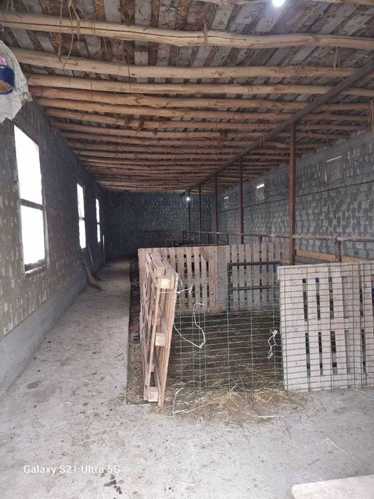 Продаётся Фирма, с Постройками и с Земельным участком - 7,8Га. Кибрай