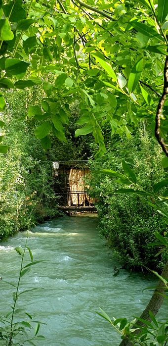 Шаббода дам олиш маскани