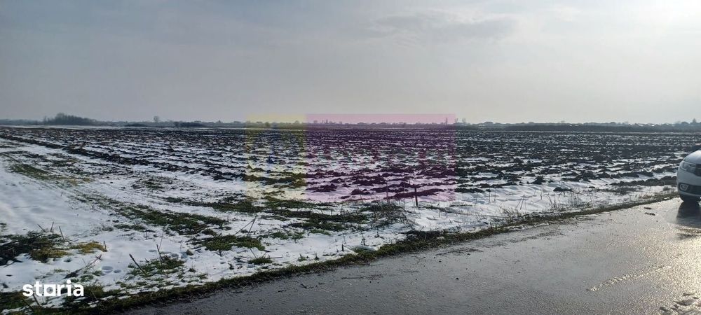 Cosoba, teren 7600 mp intravilan pe str Guliei