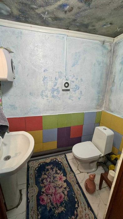 Дом с.Петерфельд  13.500