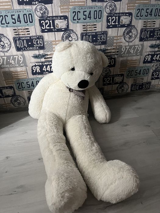 Медведь (бывший подарил)