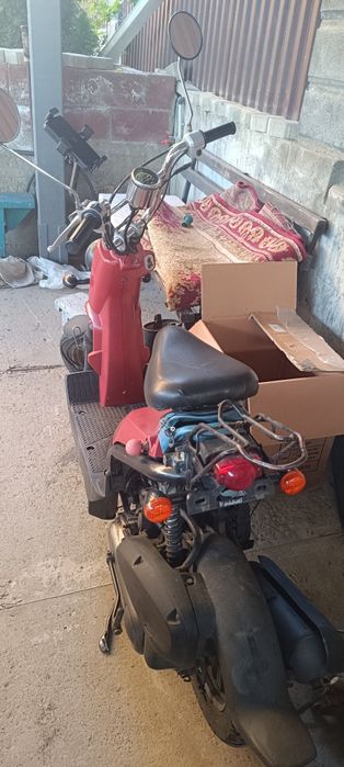 Хонда Зумер Honda Zoomer
