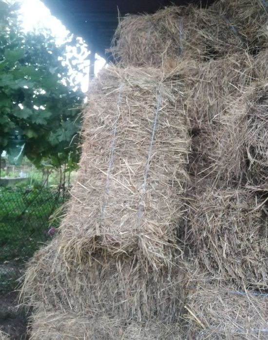 Продавам бали сено,