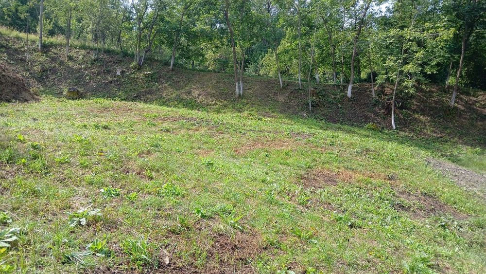 Teren de vânzare în Comuna Șotrile județul Prahova - Mai multe