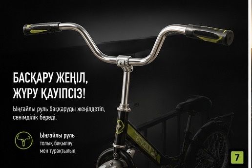 түркістан,велик аист