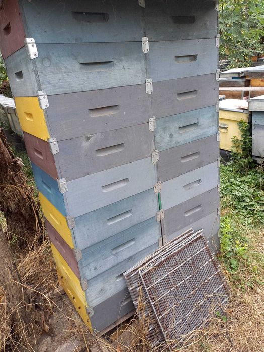 Vand 800 de magazii 1/2 de 12 rame.