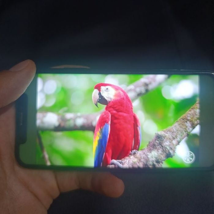 Продам iPhone X черный цвет