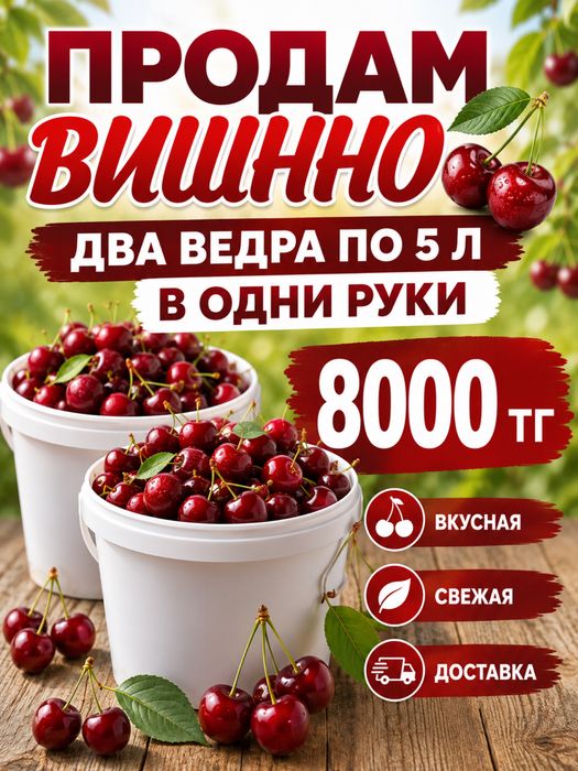 Вишня свежая вкусная