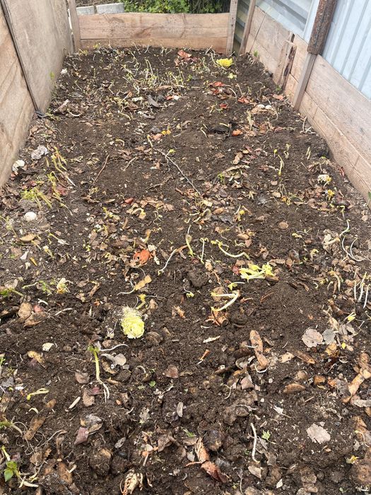 Продаю биогумс собственного производства