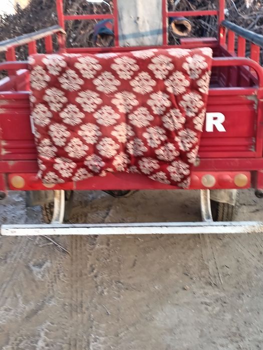 Newstar muravey sotiladi