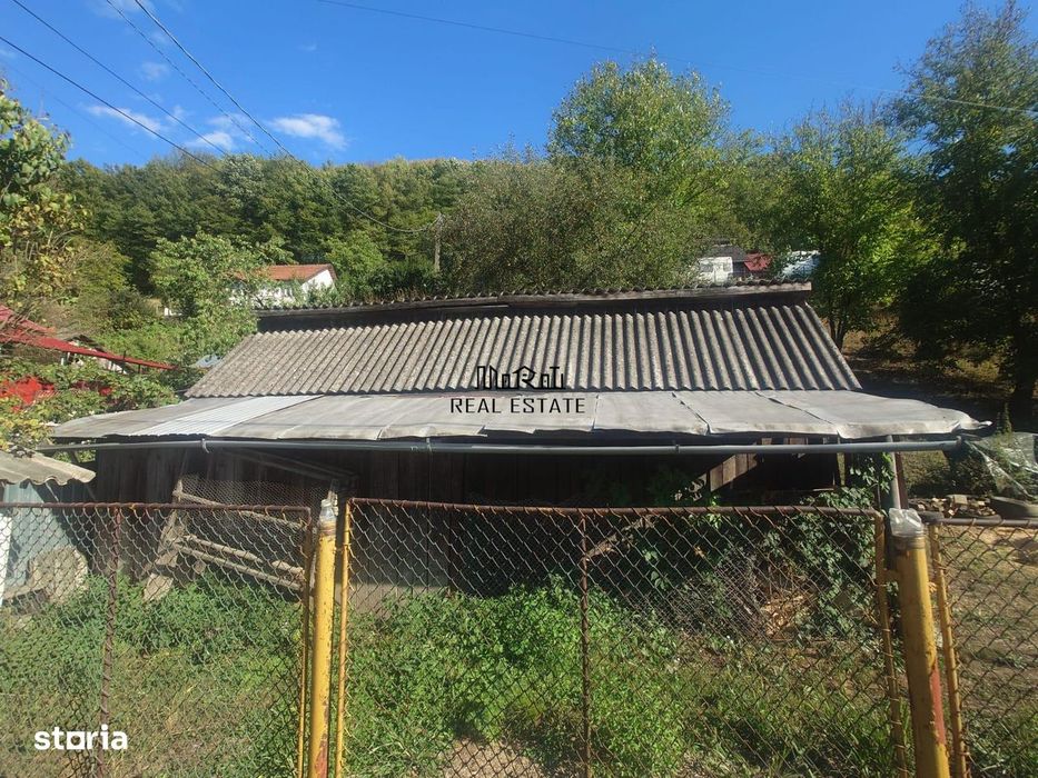 Casa si Teren Criscior
