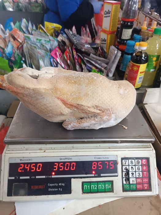 Мясо домашней утки