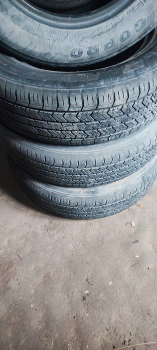 Gopro balon r15 xolati yaxwi