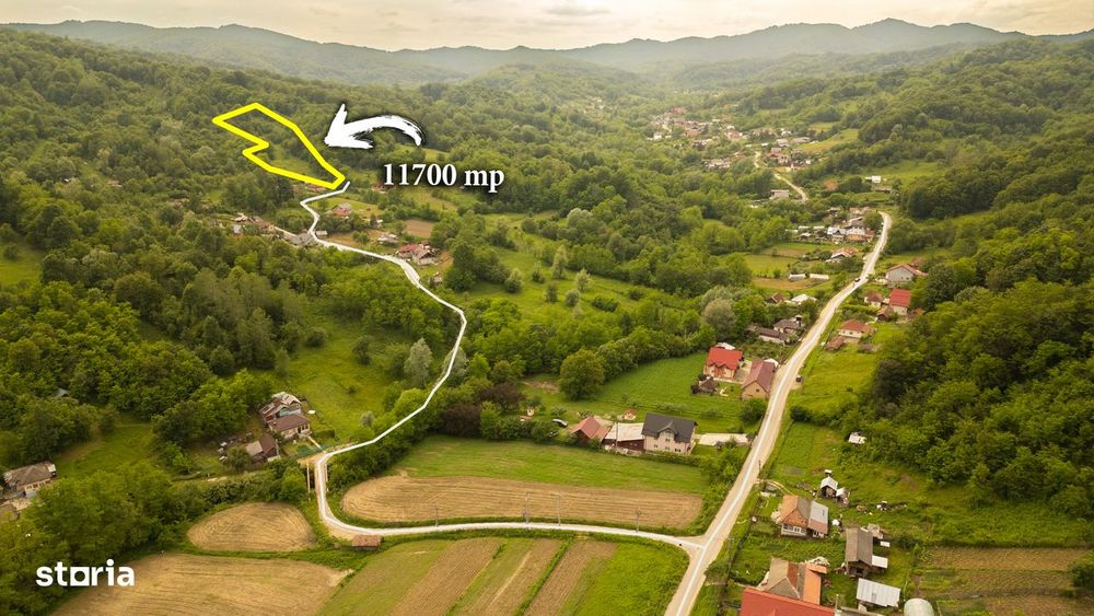 Teren de 11700 mp în mijlocul naturii la 2 ore de București
