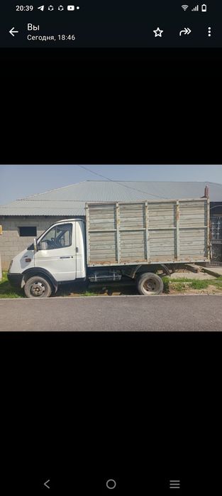 Газель состаяние средный