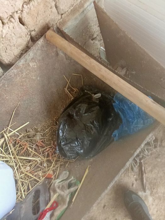 Малға ахыр ммммм