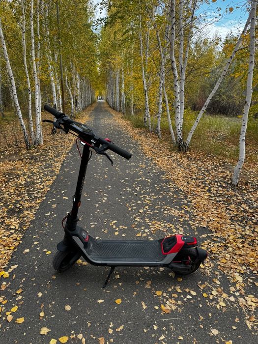 Ninebot KickScooter P100S