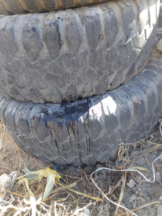 ПРОДАМ грязвые шыны
