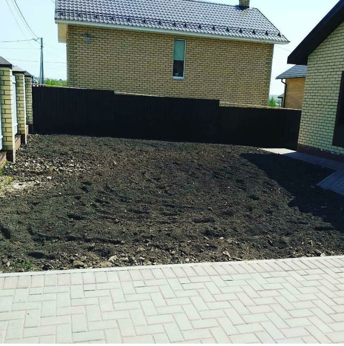 Газон Посадка газона