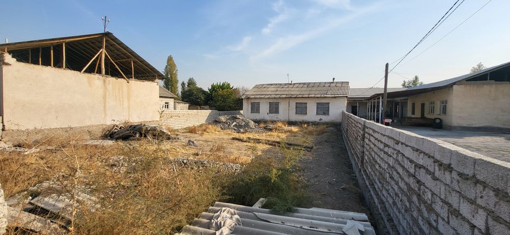 Бектемир Бинокор