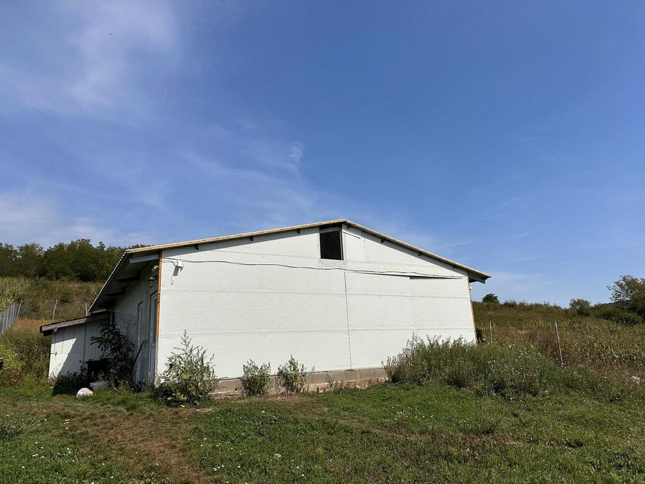 Hala de vanzare,120 mp