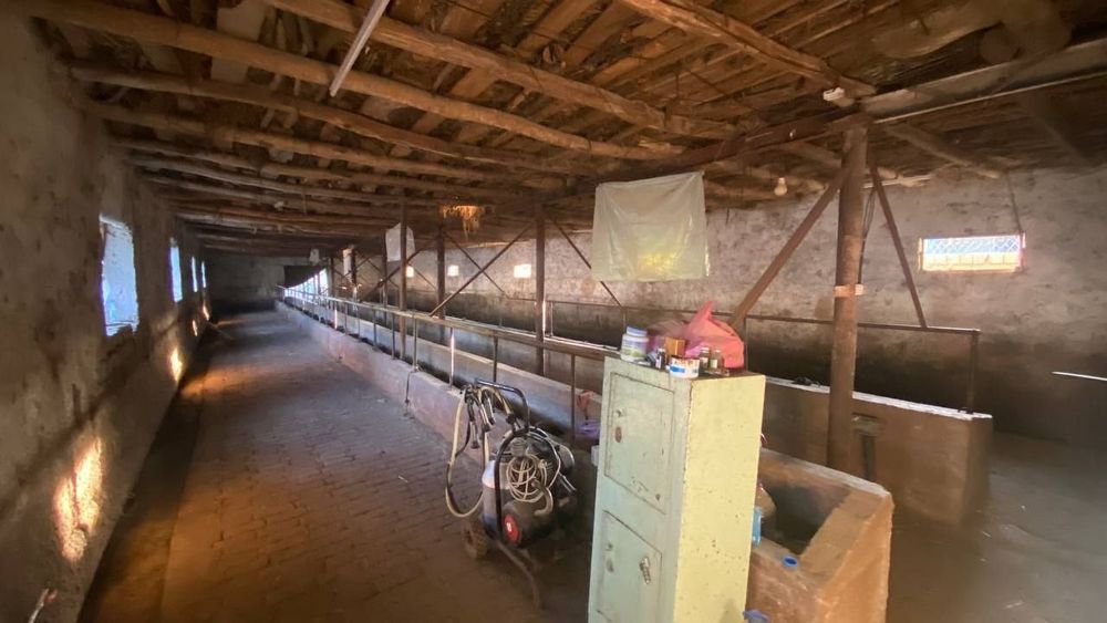 Ер сотилади 30 сотик Кибрай