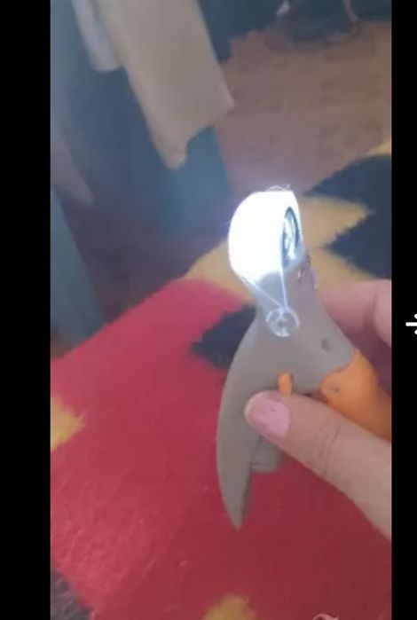 Писалка за зъбен камък,Нагръдник и нашийник 2 в 1 ,Светеща ножичка за