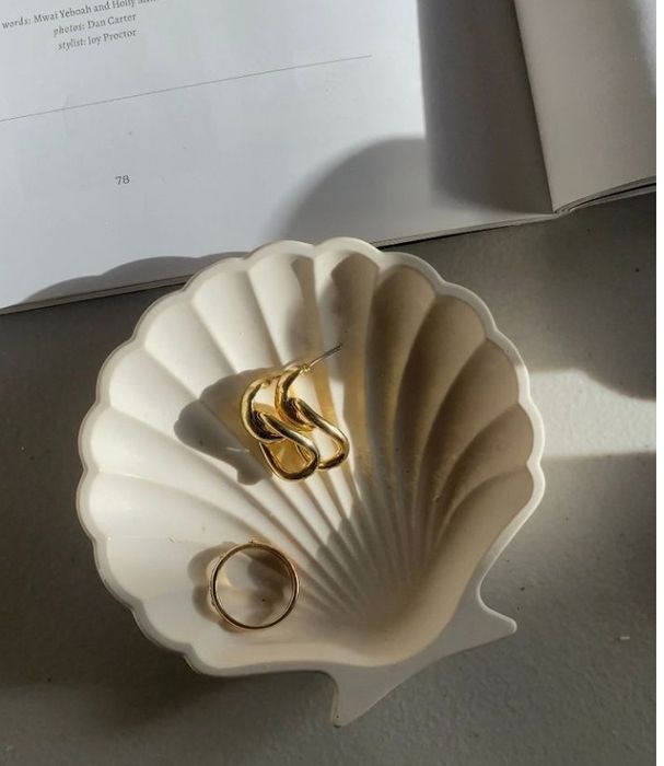 Ракушка из гипса