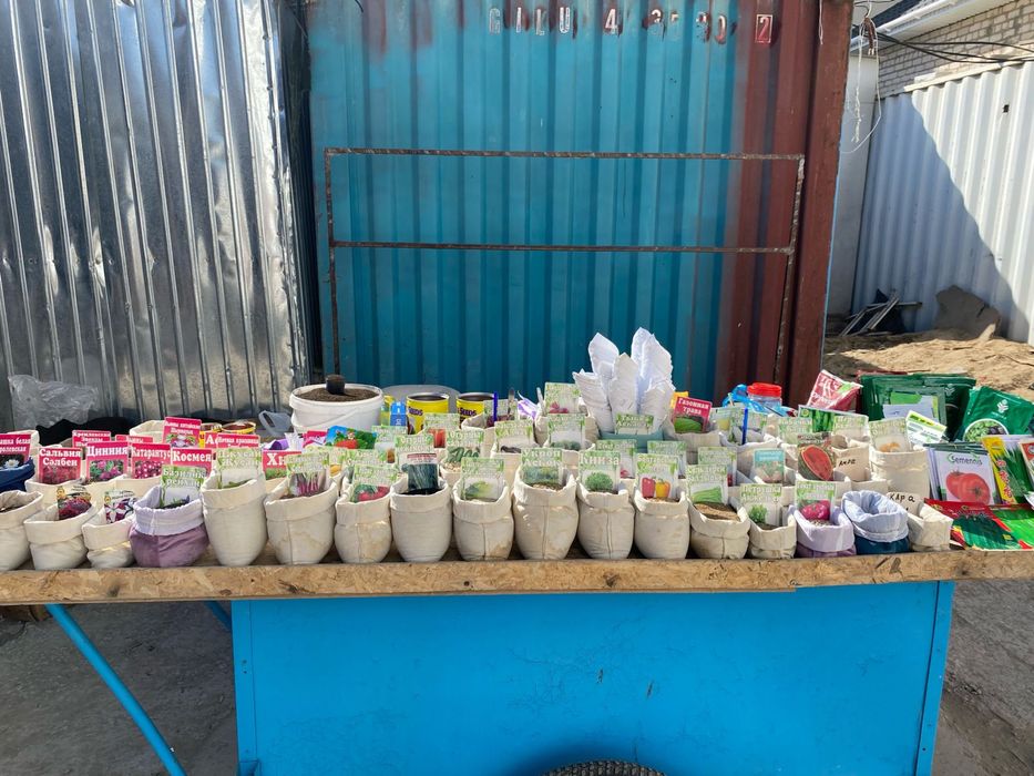 Семена Разного Вида Все Сорты имеются