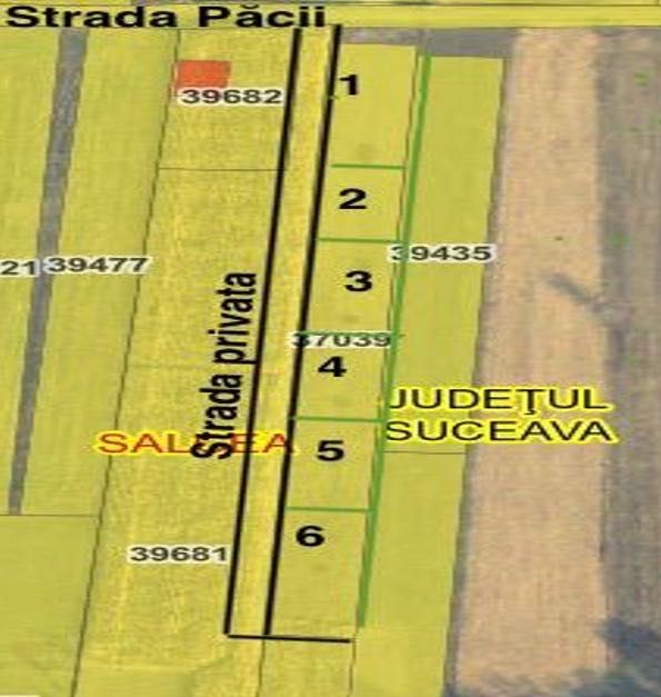 Teren intravilan Plopeni Suceava