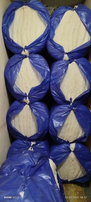 Той пахта заводники