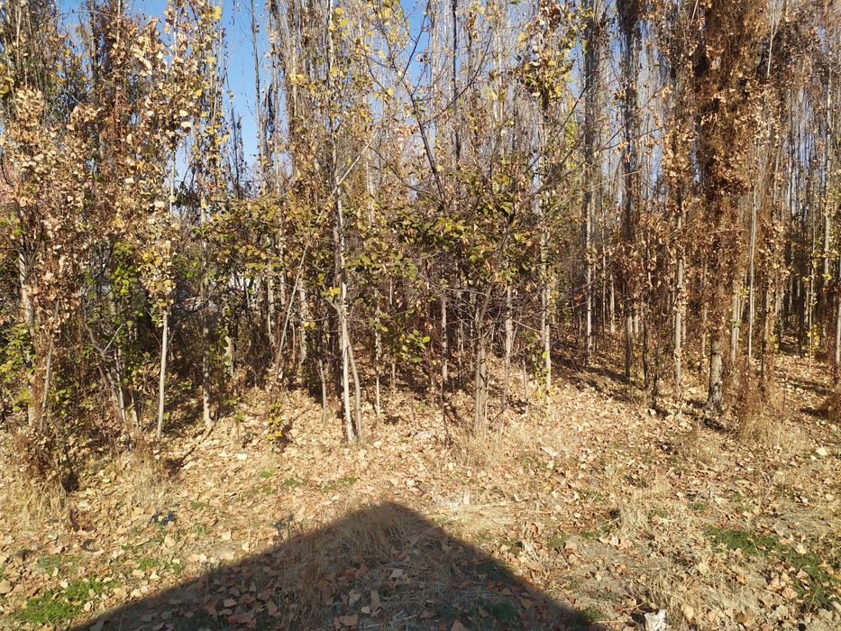 Продам участок под строительство .